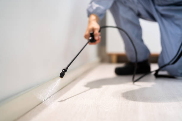 Licensed Pest Control service in Morehead City, NC - Show Me Pest Control