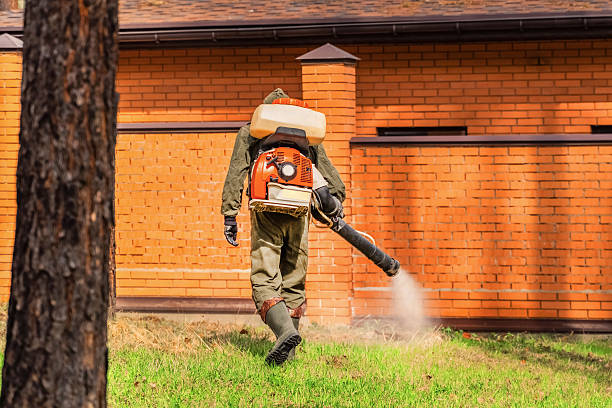 Bed Bug Clearance Verification and Documentation in Morehead City